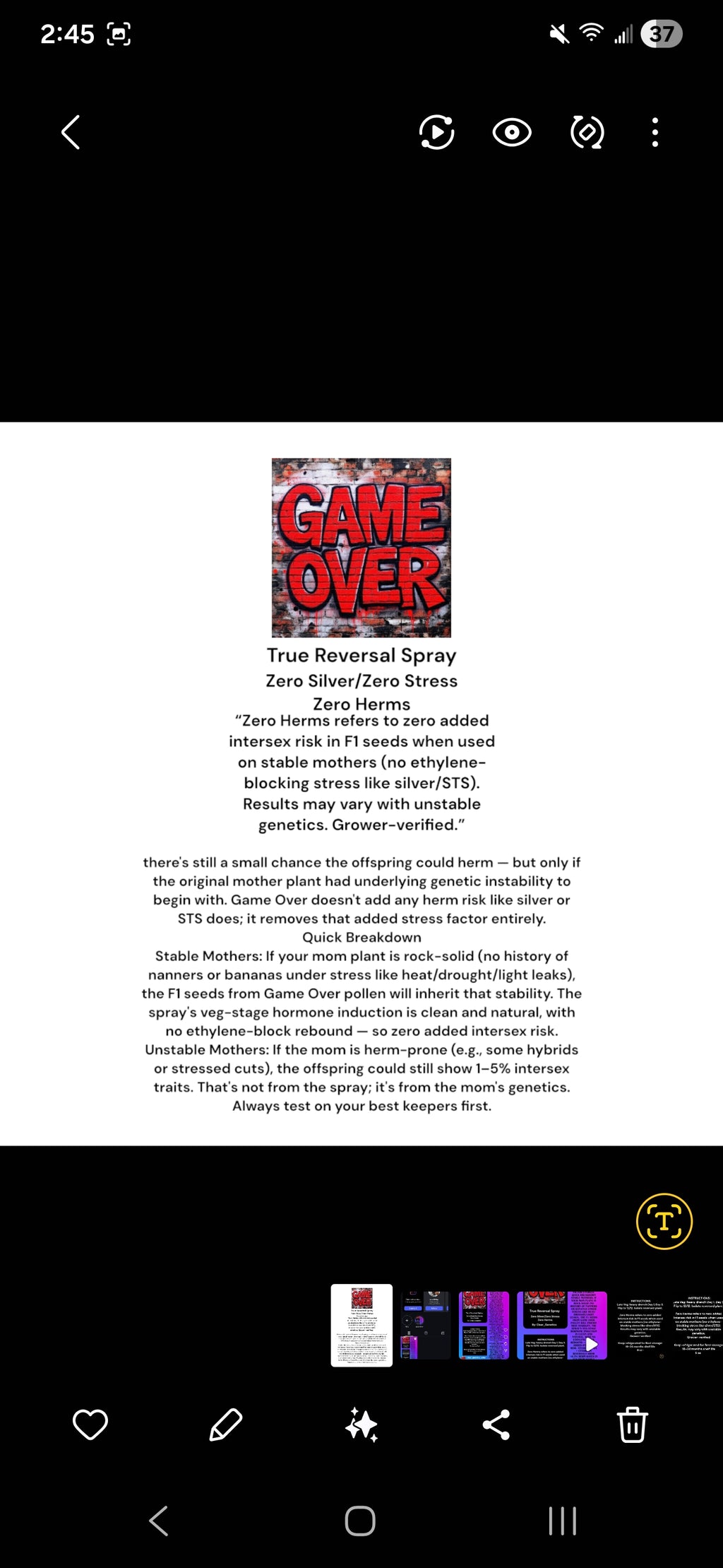 "Game Over Reversal Spray — 8oz"